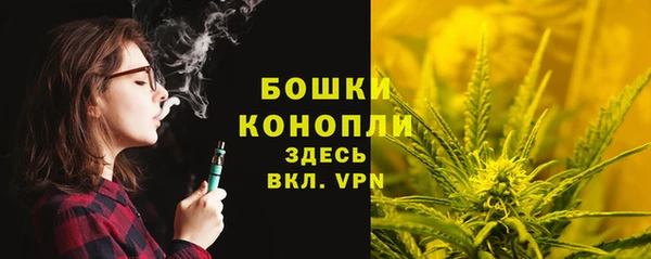 гашик Ессентукская