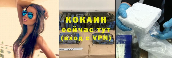 прущие грибы Санкт-Петербург
