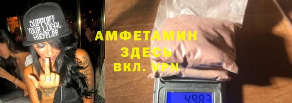 прущие грибы Санкт-Петербург