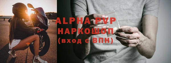 индика Нягань