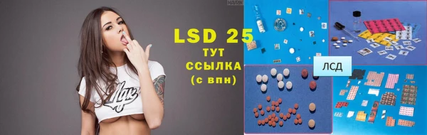 прущие грибы Санкт-Петербург