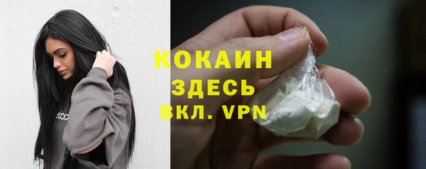 гашик Ессентукская