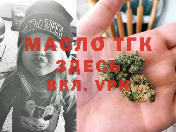 прущие грибы Санкт-Петербург