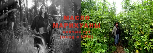 прущие грибы Санкт-Петербург