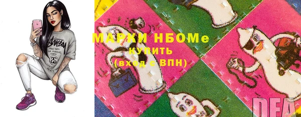 гашик Ессентукская