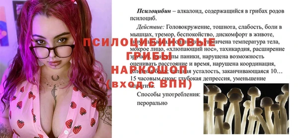 гашик Ессентукская