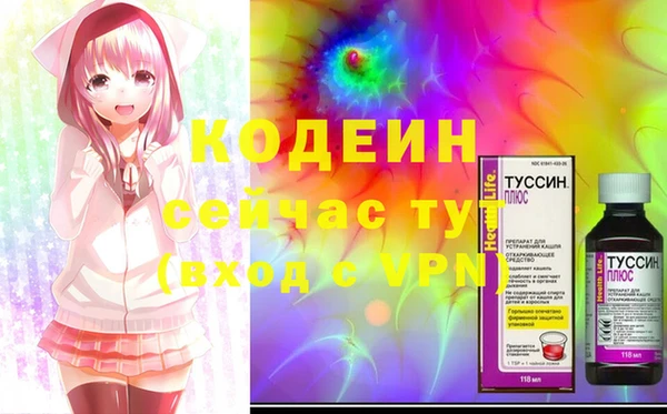прущие грибы Санкт-Петербург