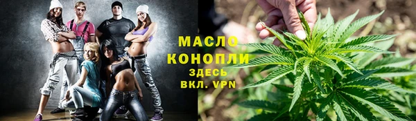 прущие грибы Санкт-Петербург