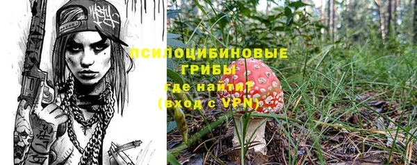 гашик Ессентукская